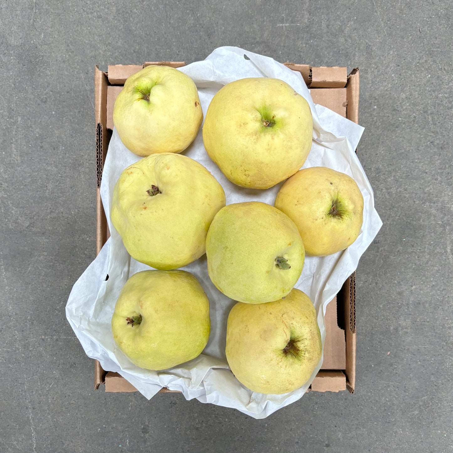 Box of Organic Pineapple Quince