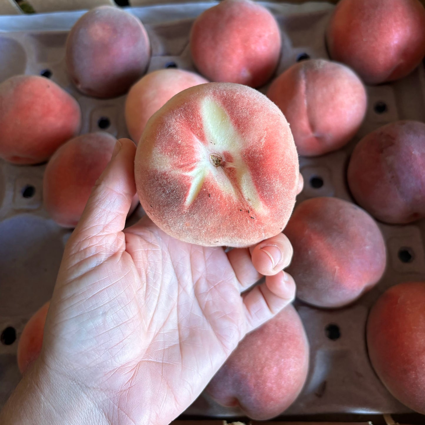Half Flat of Organic Snow Beauty White Peaches