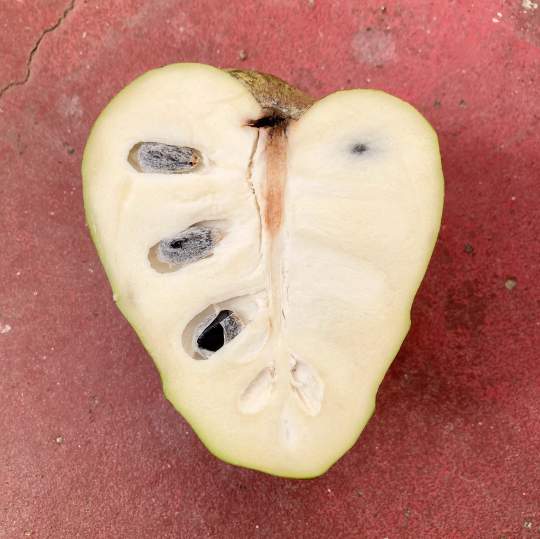 Organic Dr. White Cherimoya Box