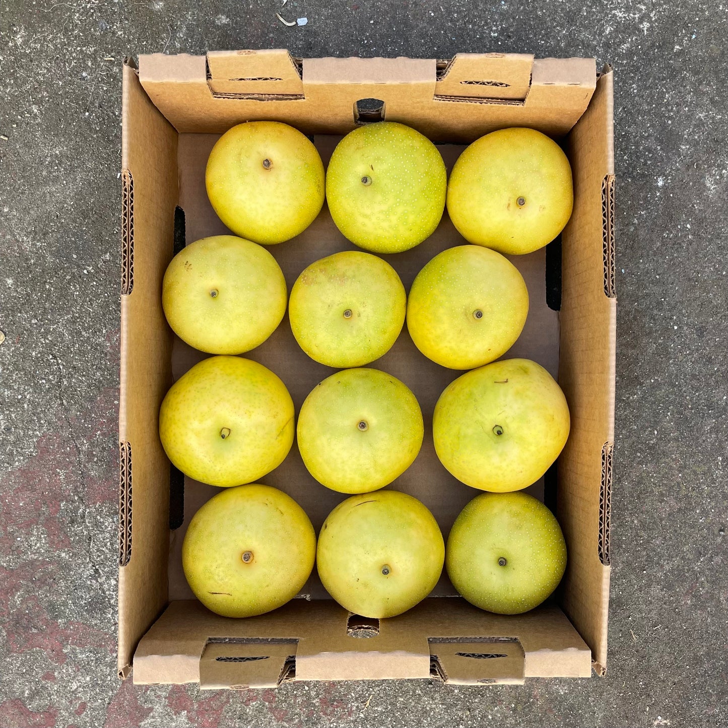 Half Flat of Organic 20th Century (Nijisseiki) Asian Pears
