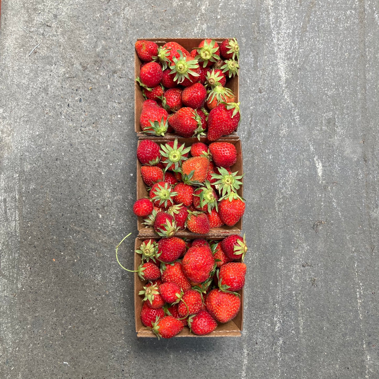 Organic Mara des Bois Strawberries
