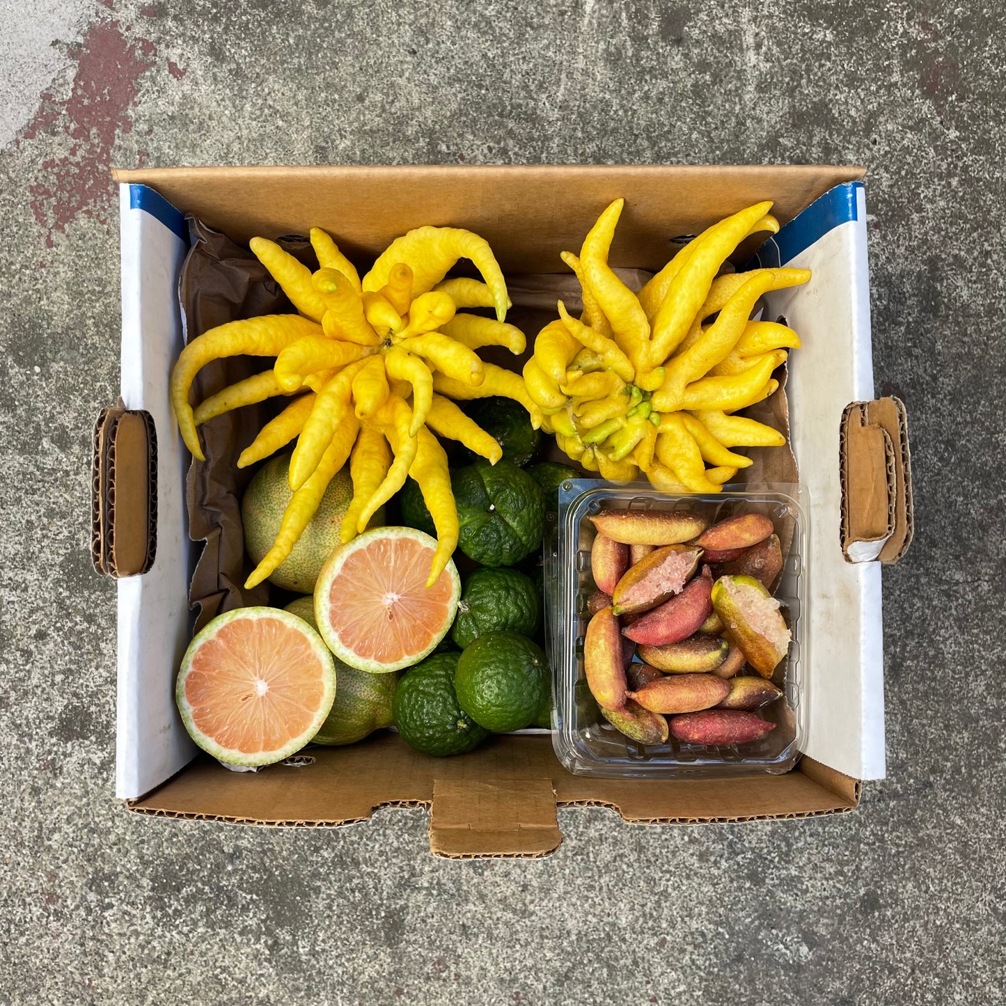 Specialty Citrus Box