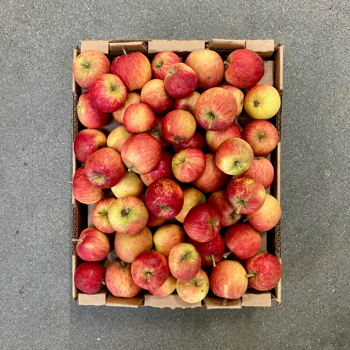 Devoto Seasonal Organic Apples