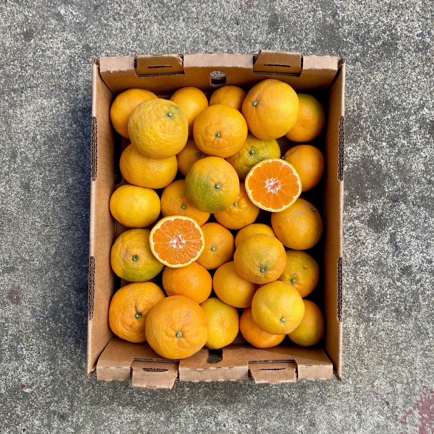 Owari Satsuma Mandarin Box