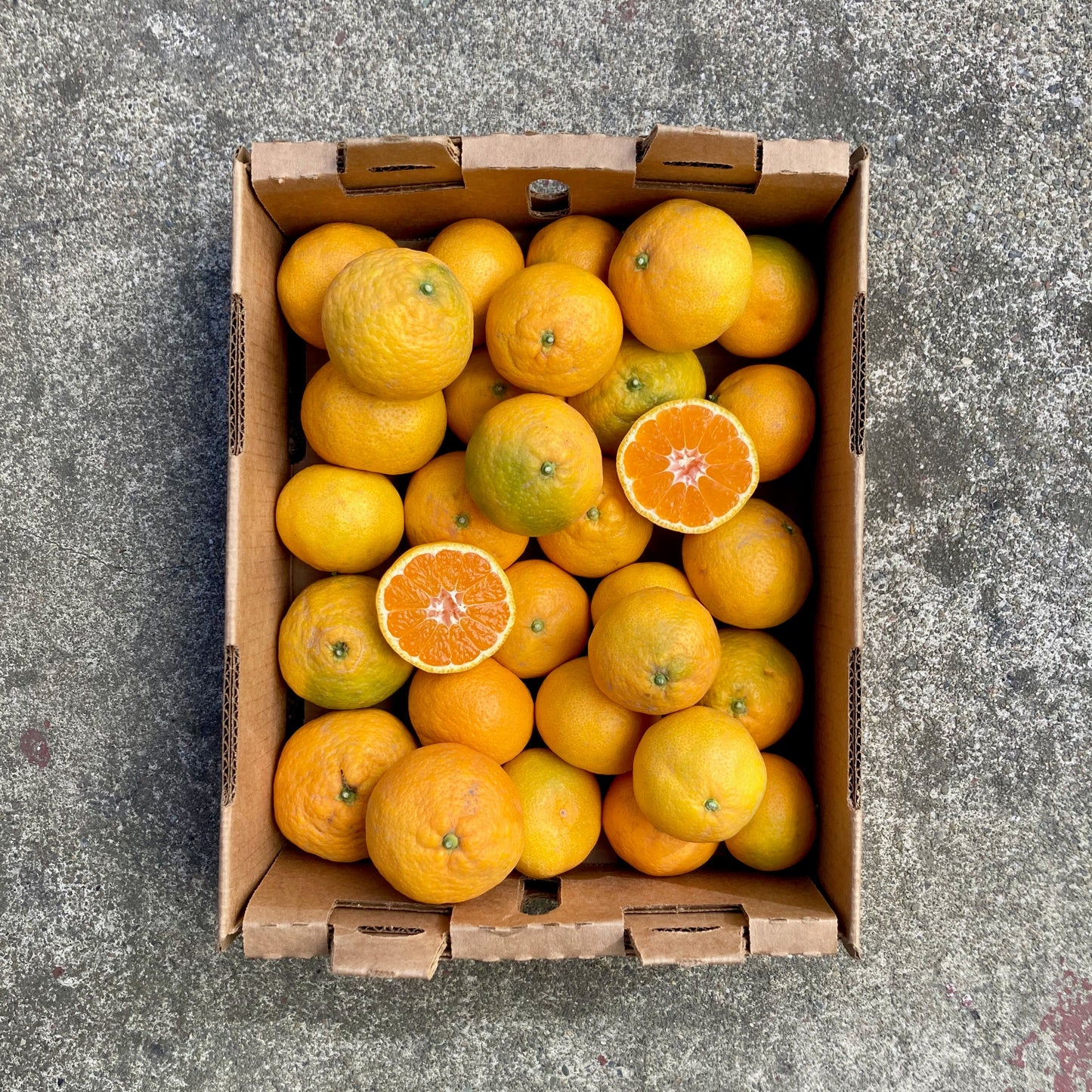 Organic Owari Satsuma Mandarin Box