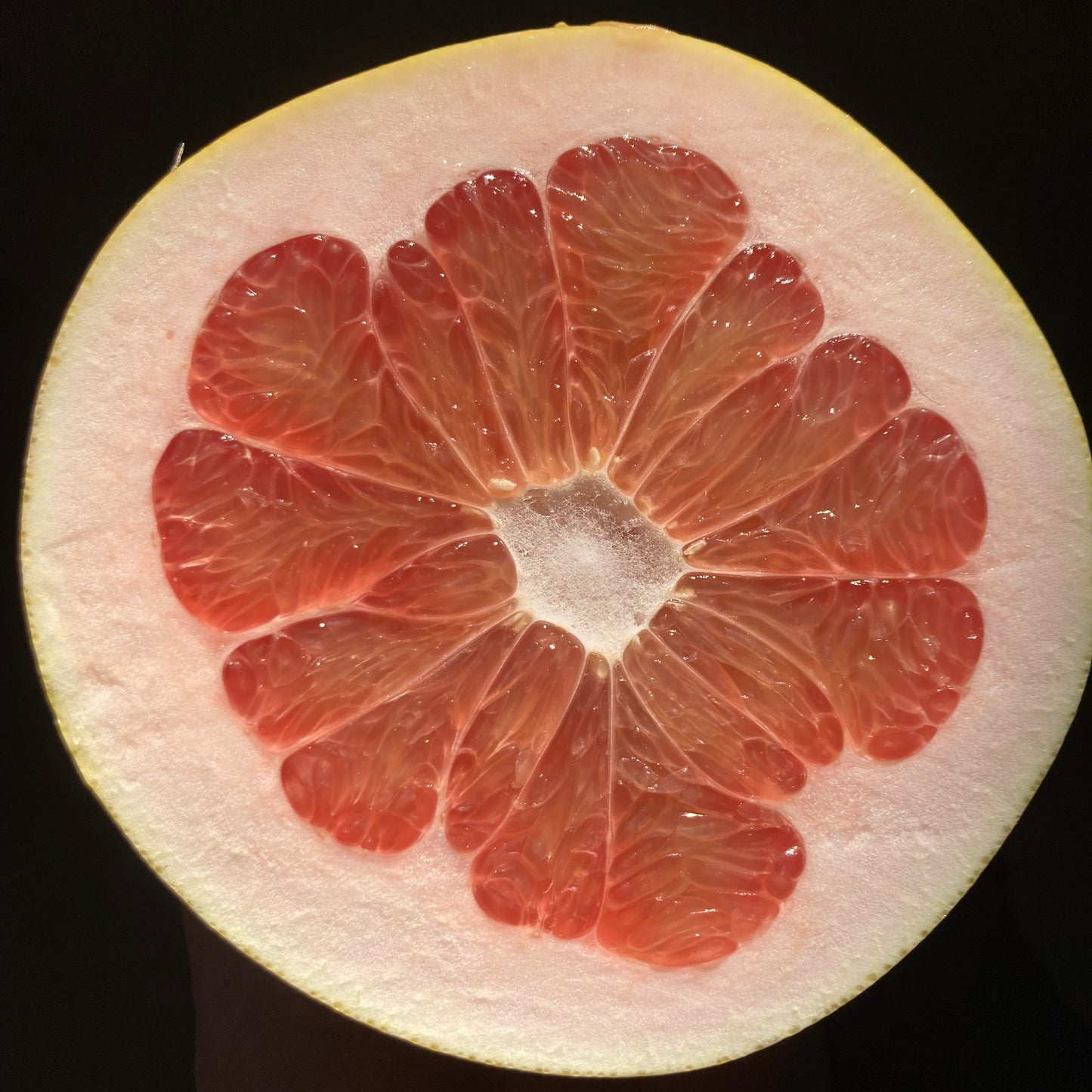 Organic Chandler Pomelos