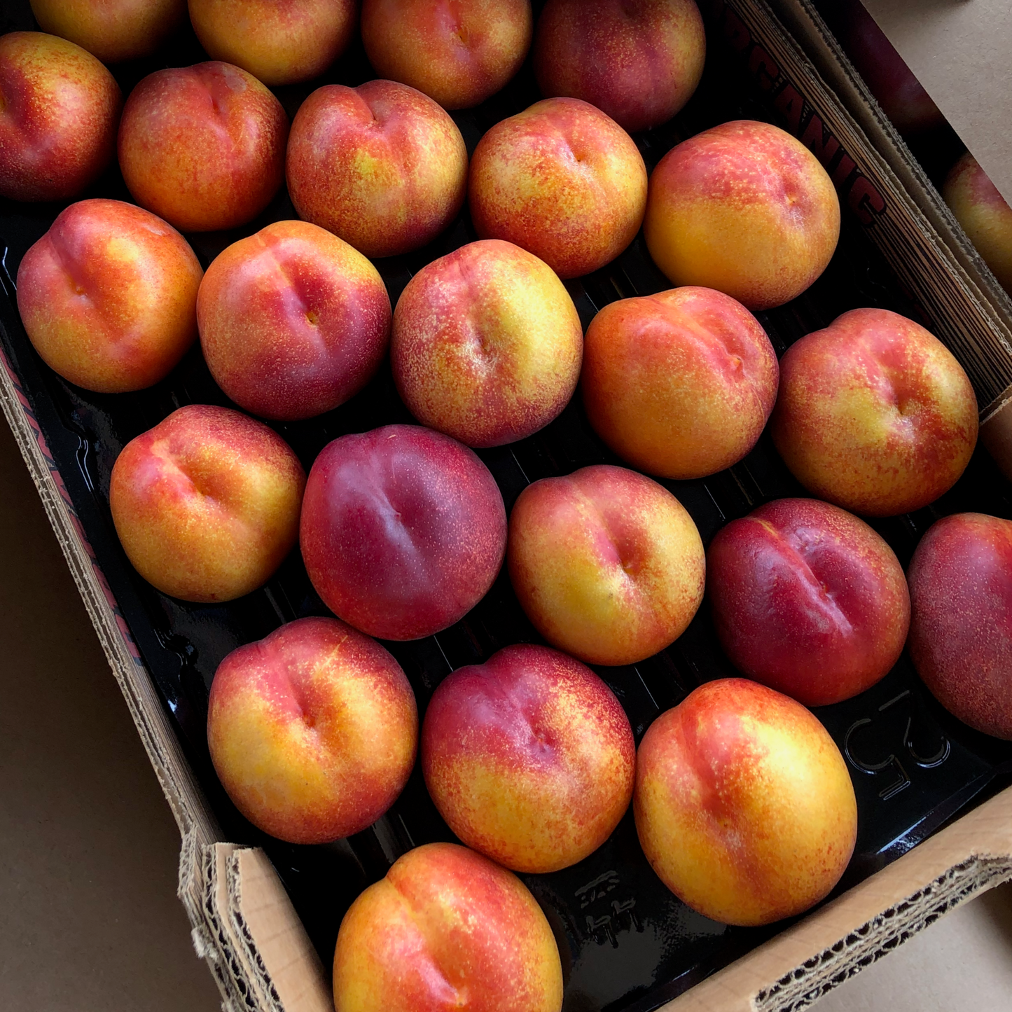 Masumoto Organic Yellow Nectarines