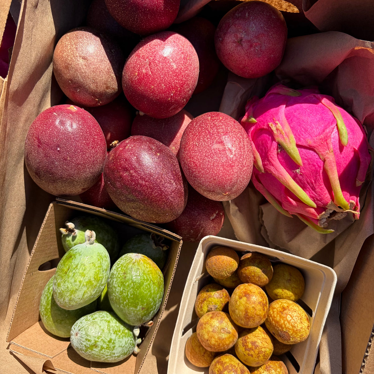 Jay's Organic Subtropical Fruit Box