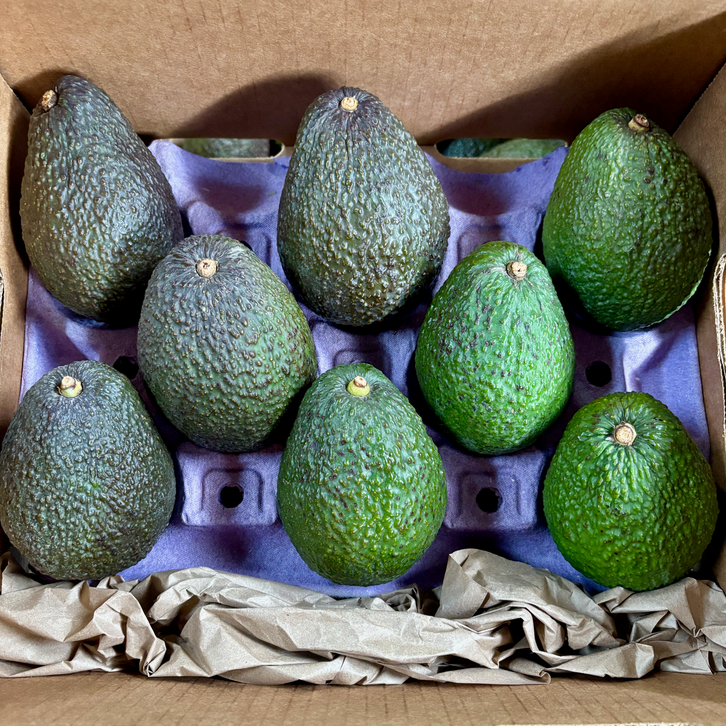 Organic California Avocado Box