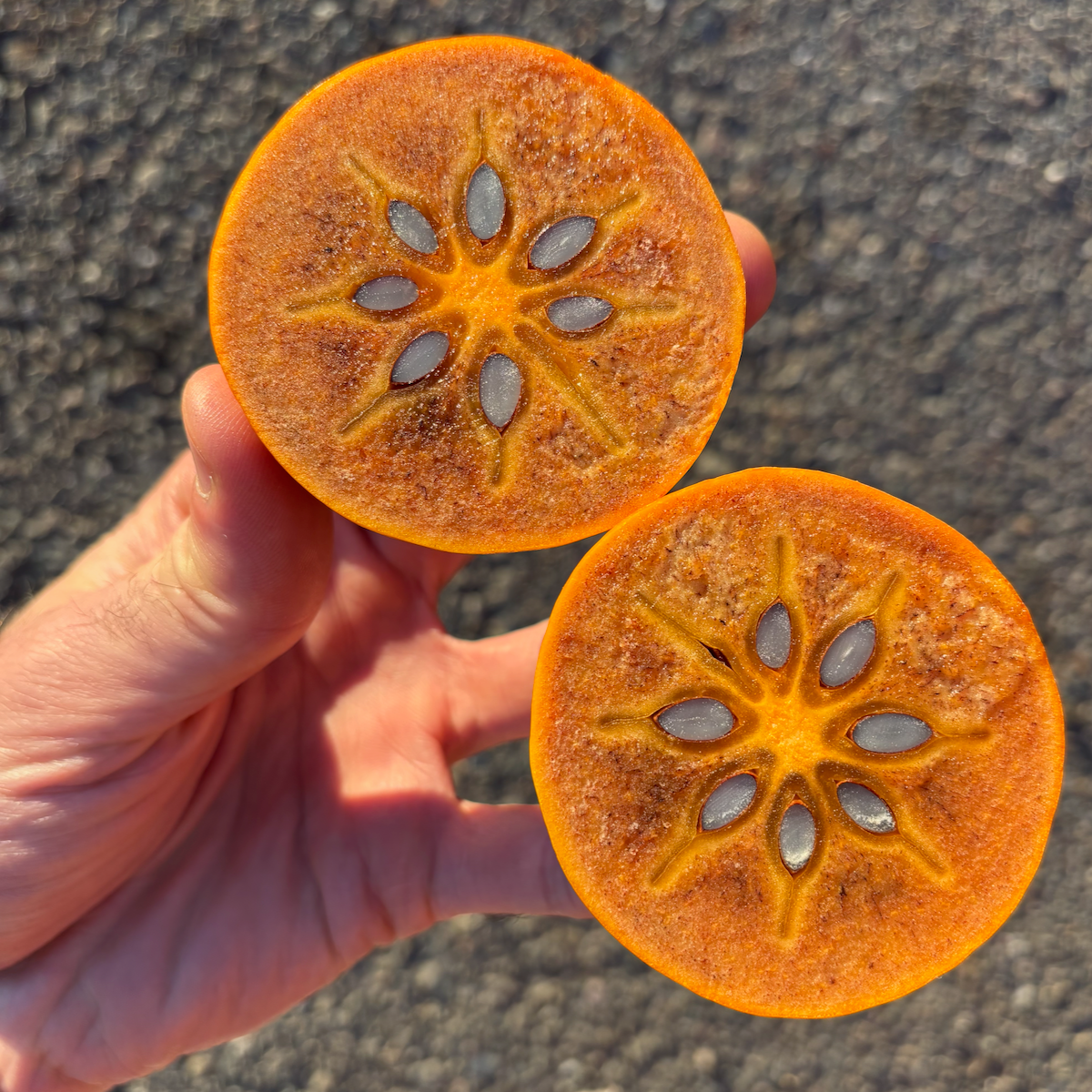 Organic Cinnamon (Hyakume) Persimmons