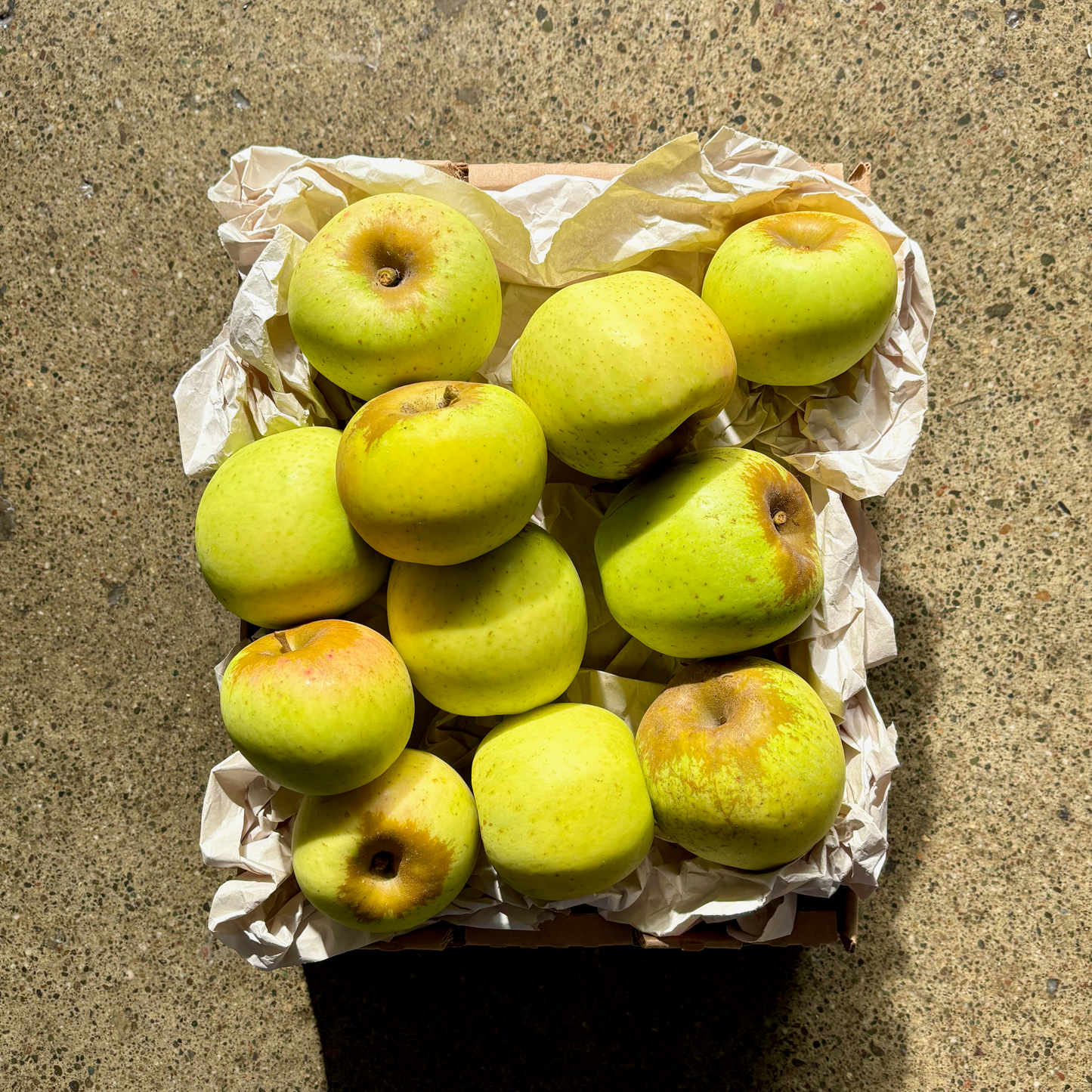 Devoto Seasonal Organic Apple Box