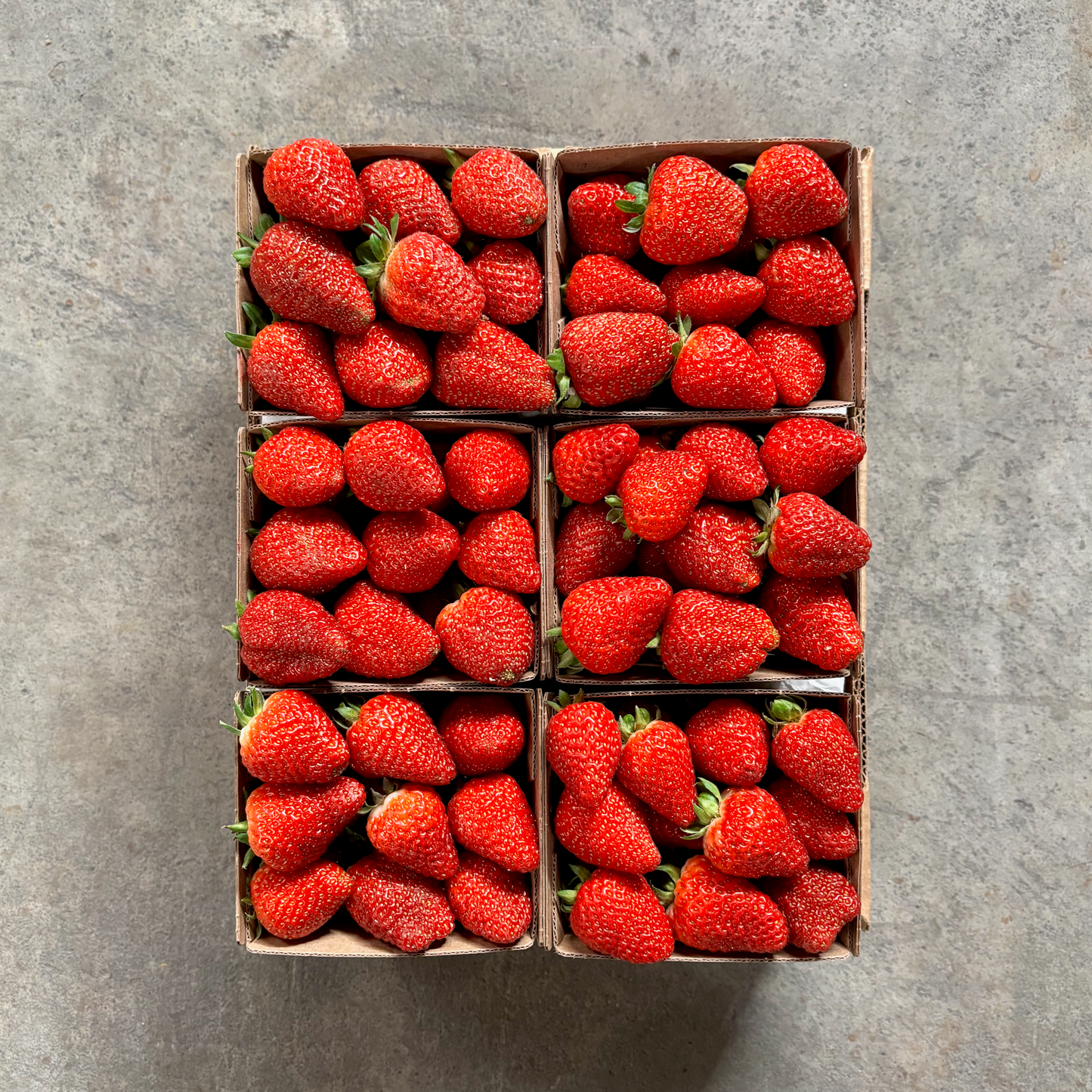 Half Flat of Organic Albion Strawberries