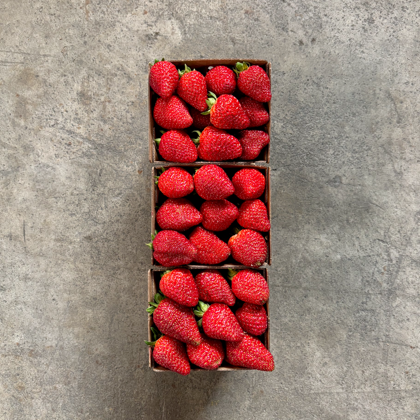 Ichigo Farms Albion Strawberries