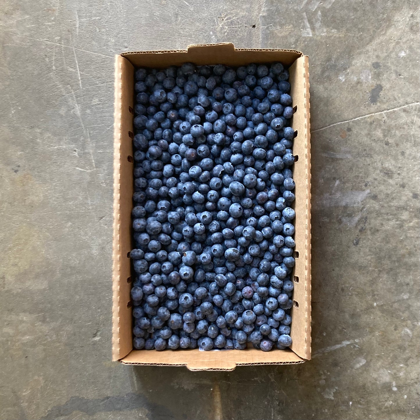 Organic San Joaquin Blueberries