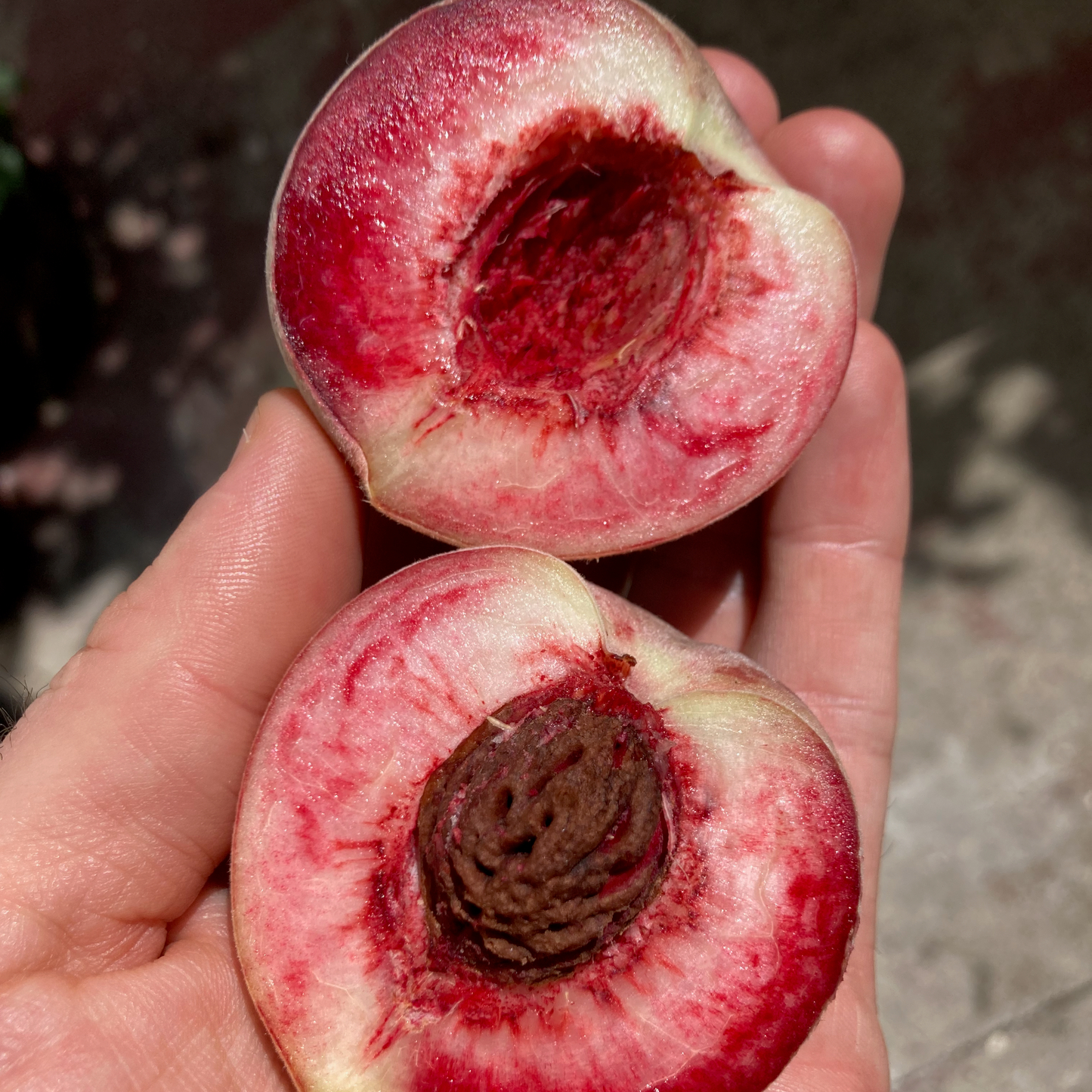 Half Flat of Organic Indian Free Peaches