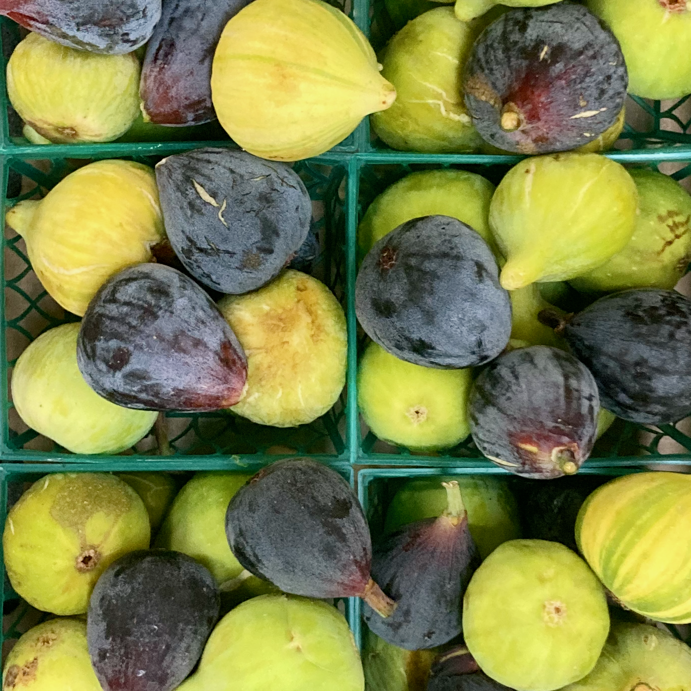 Trio of Organic Mixed Variety Figs
