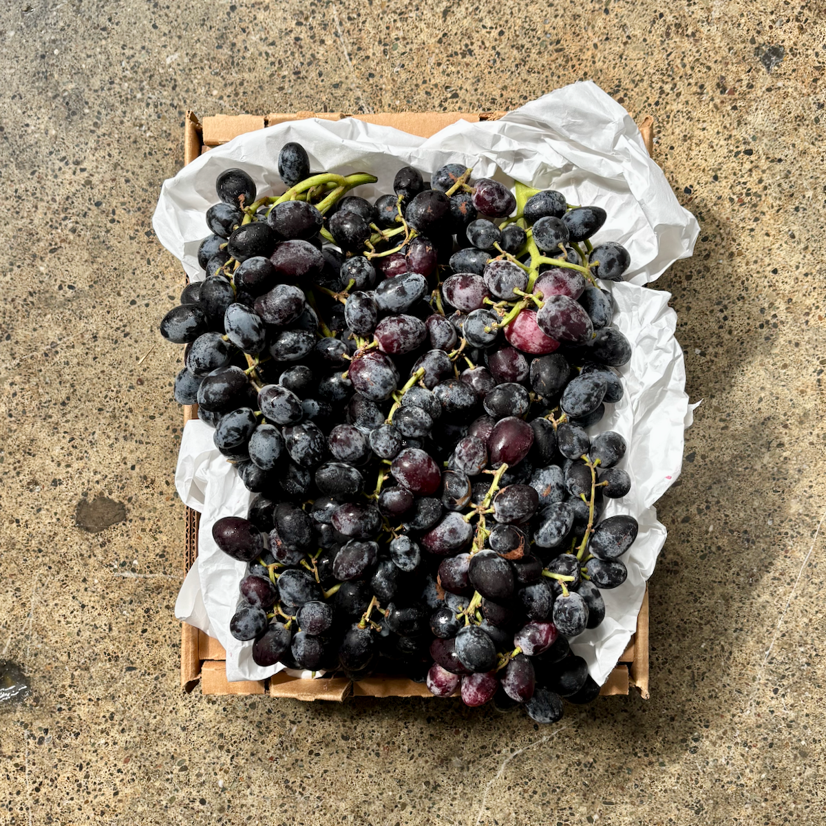Organic Autumn Royal Grapes