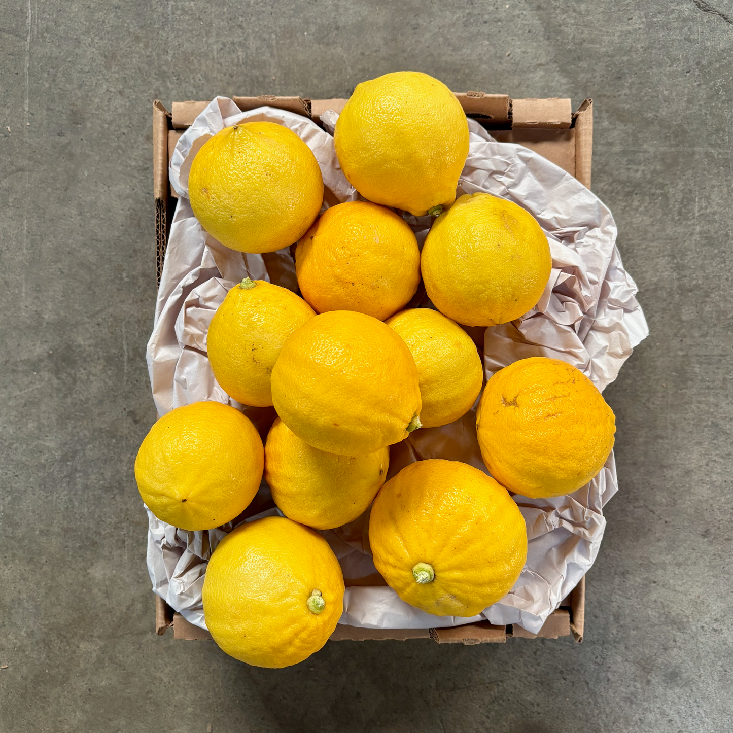 Organic Bergamot Sour Oranges