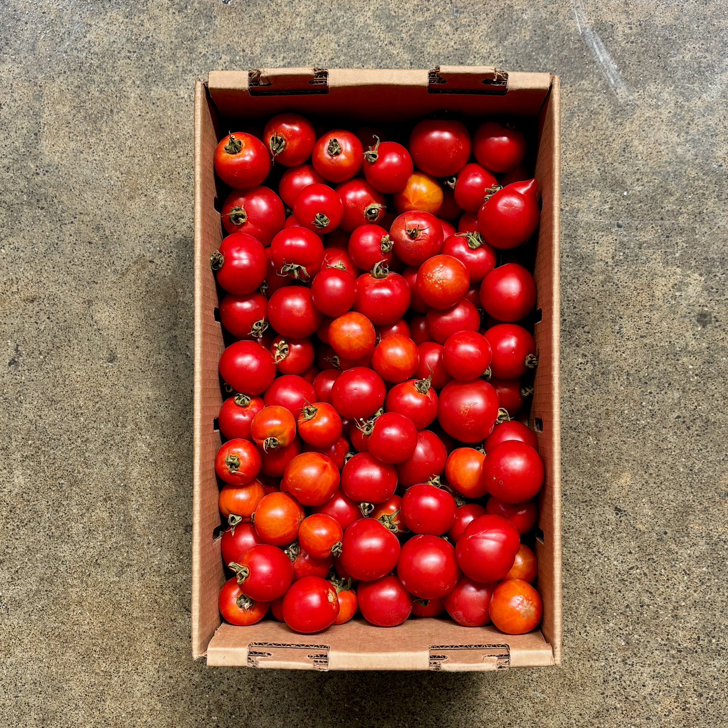 Flat of Organic Dry-Farmed Early Girl Tomatoes (Seconds)