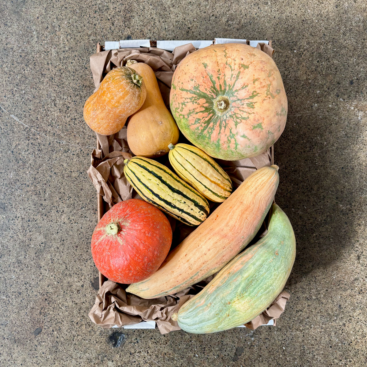Organic Edible Pumpkin Box