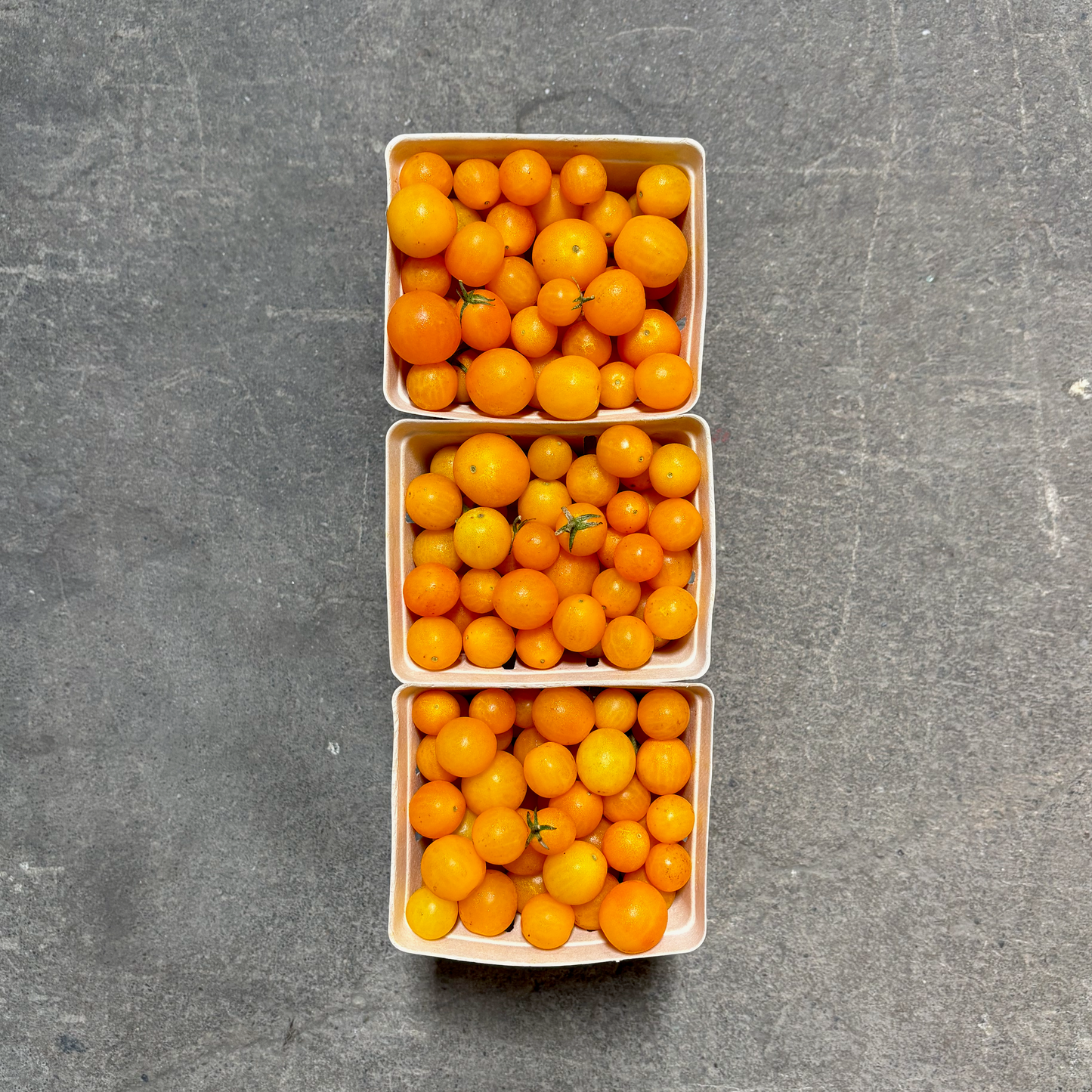 Organic Esterina Cherry Tomatoes
