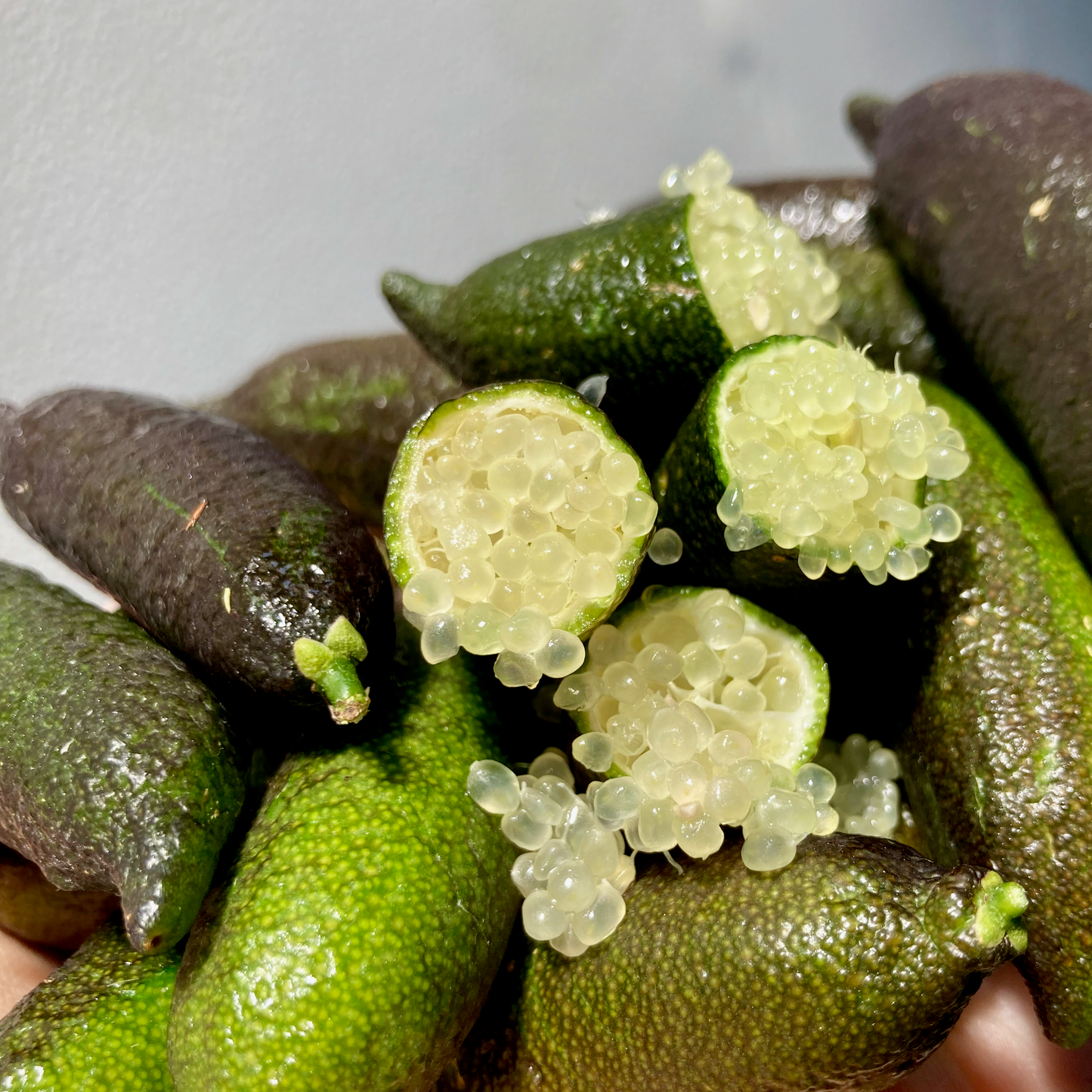 Organic Caviar Limes