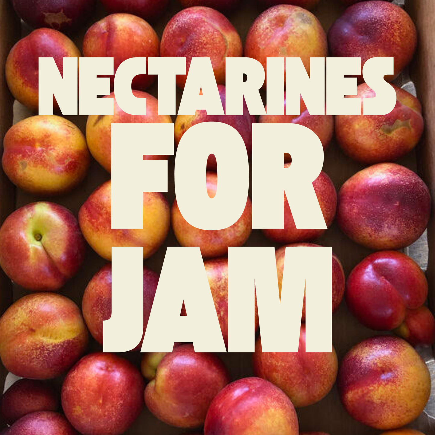 Organic Fruit for Jam!