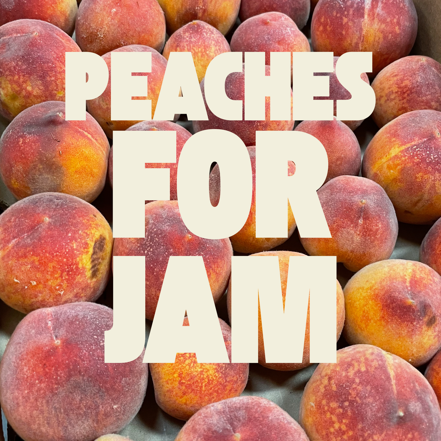 Organic Fruit for Jam!