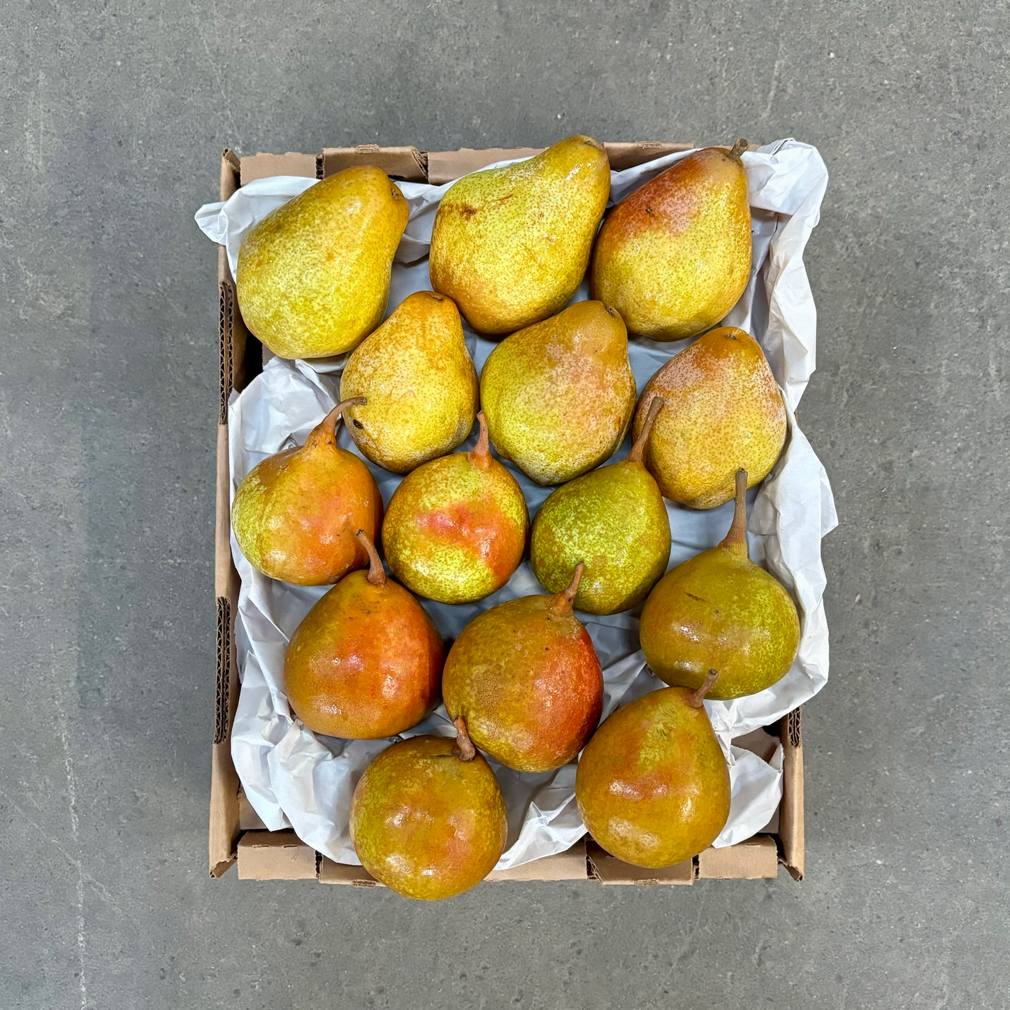 Filigreen Farm Organic Pear Box