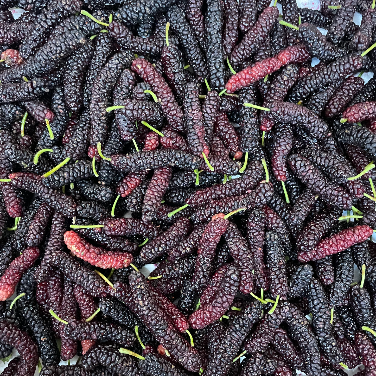 Box of Organic Pakistan Mulberries