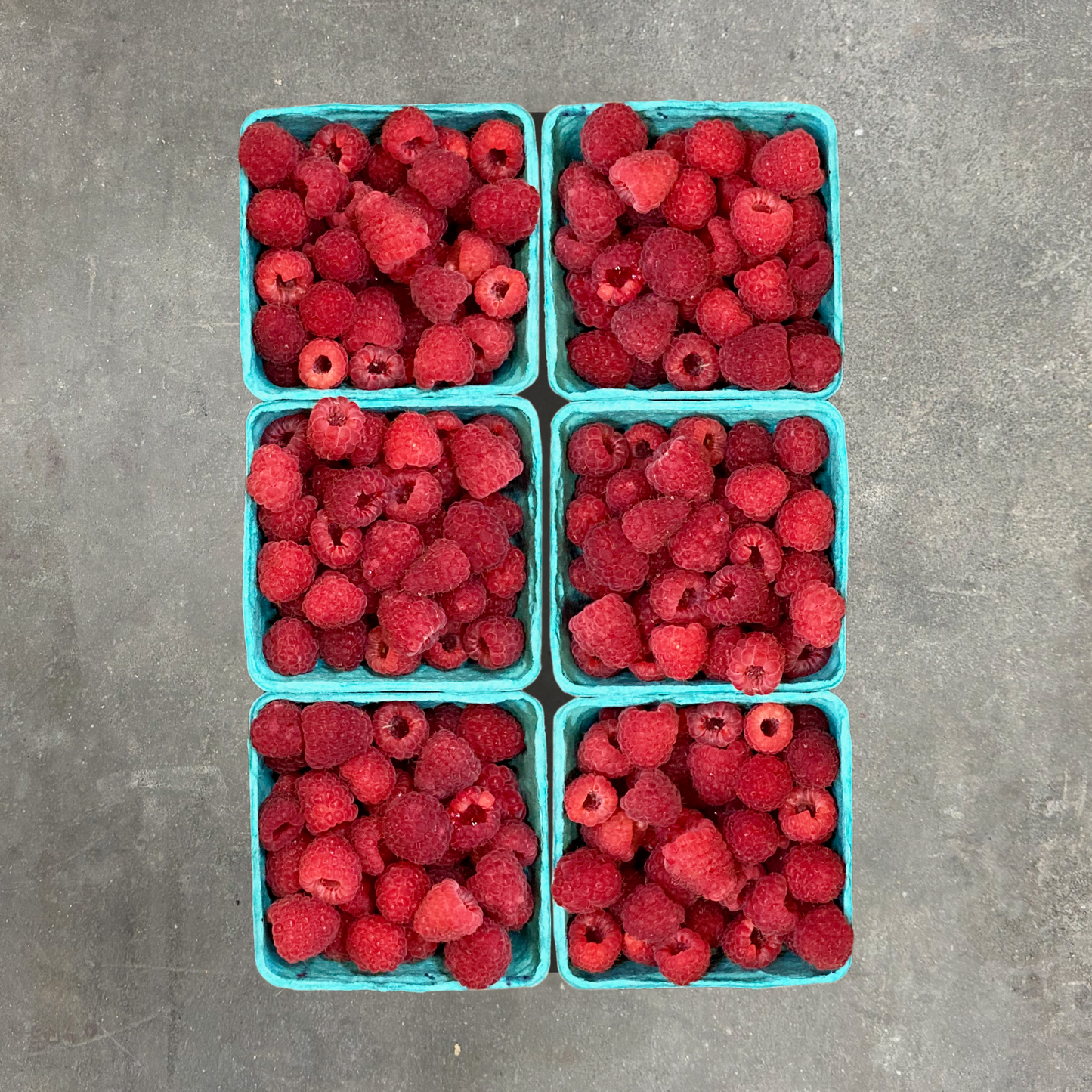 Organic Nova Raspberries