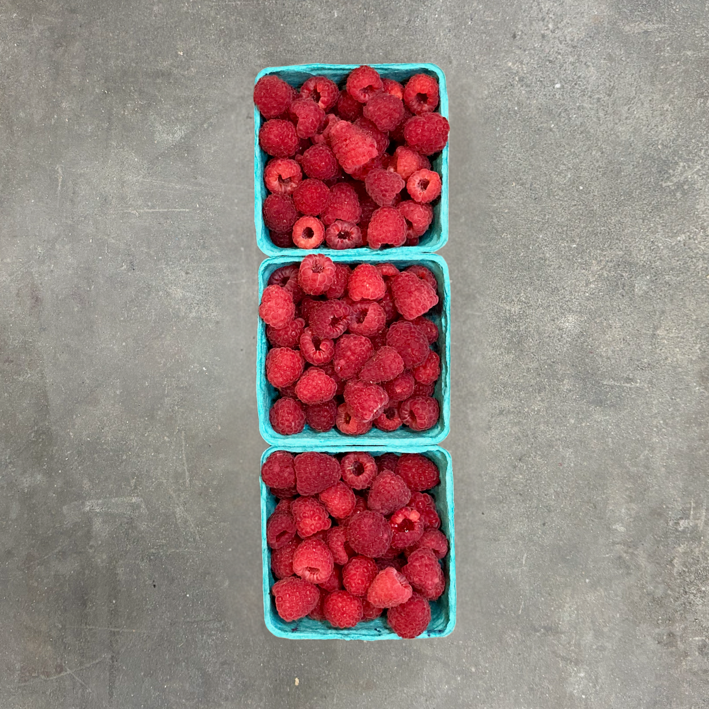 Organic Nova Raspberries