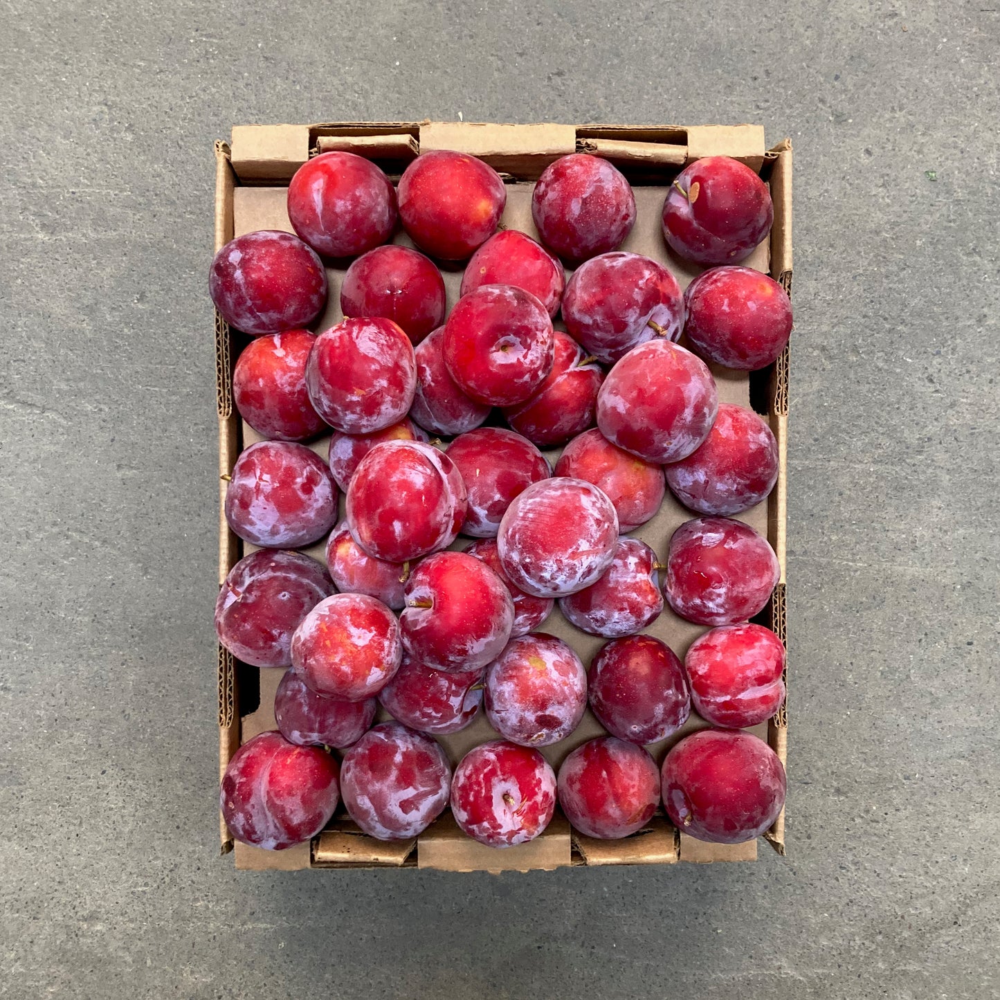 Box of Organic Santa Rosa Plums