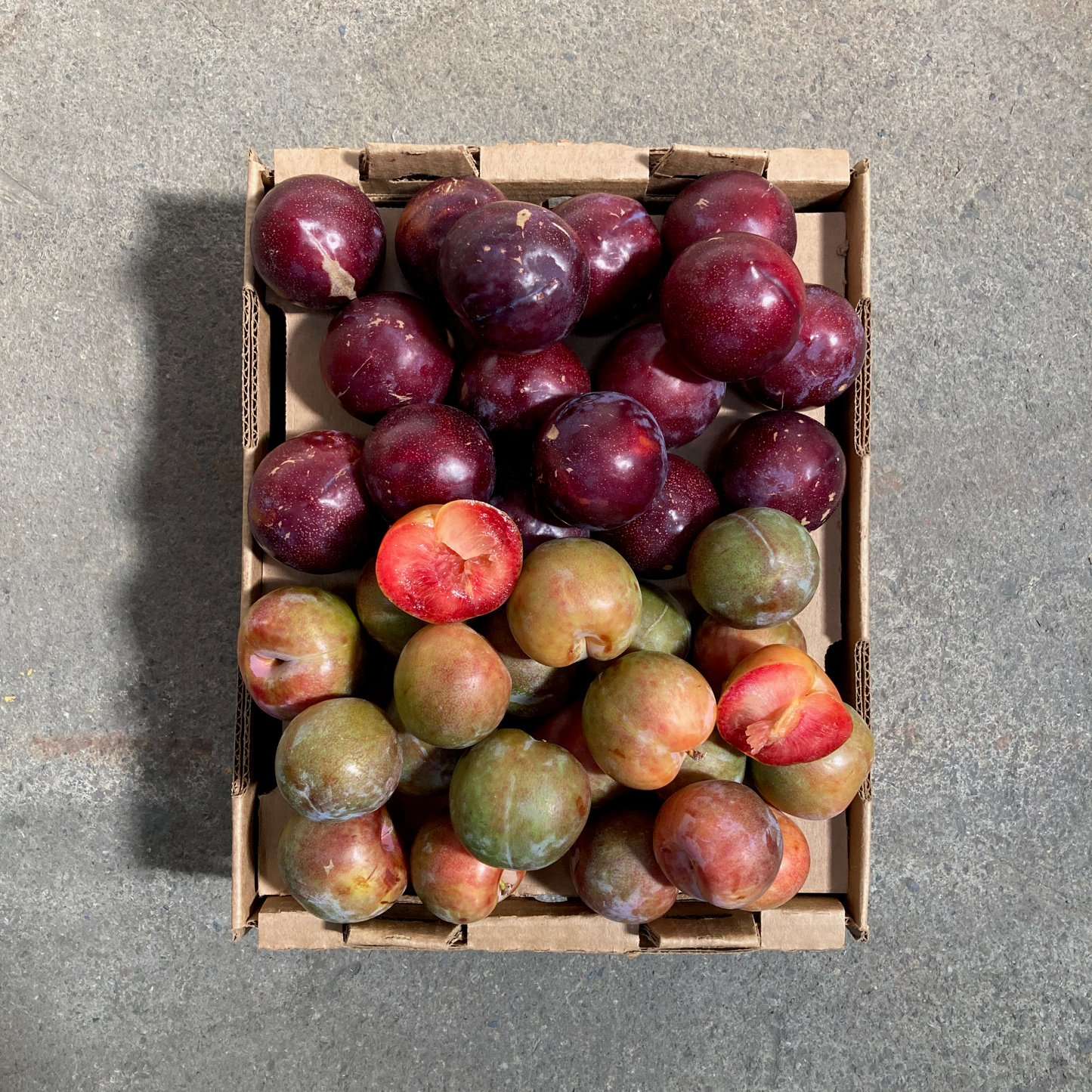 Box of Organic Seasonal Plums & Pluots