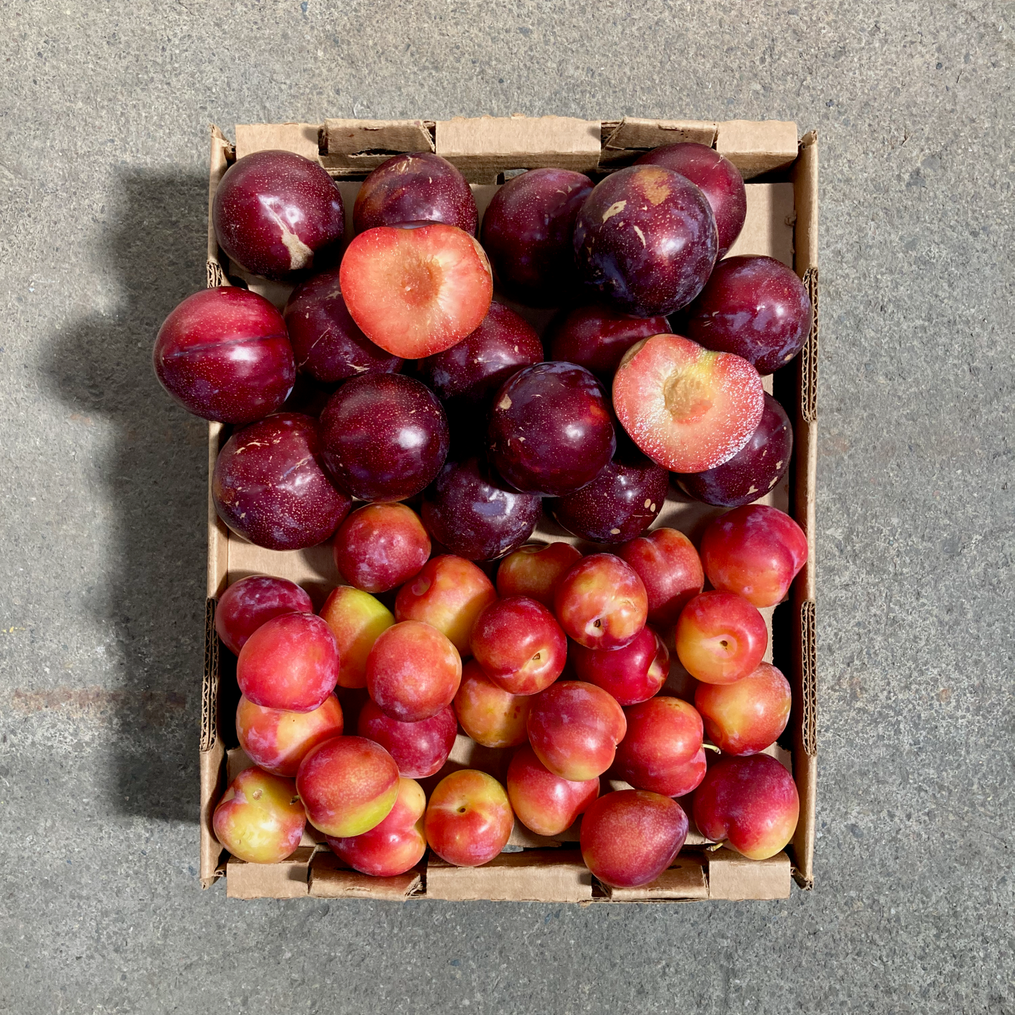 Box of Organic Seasonal Plums & Pluots