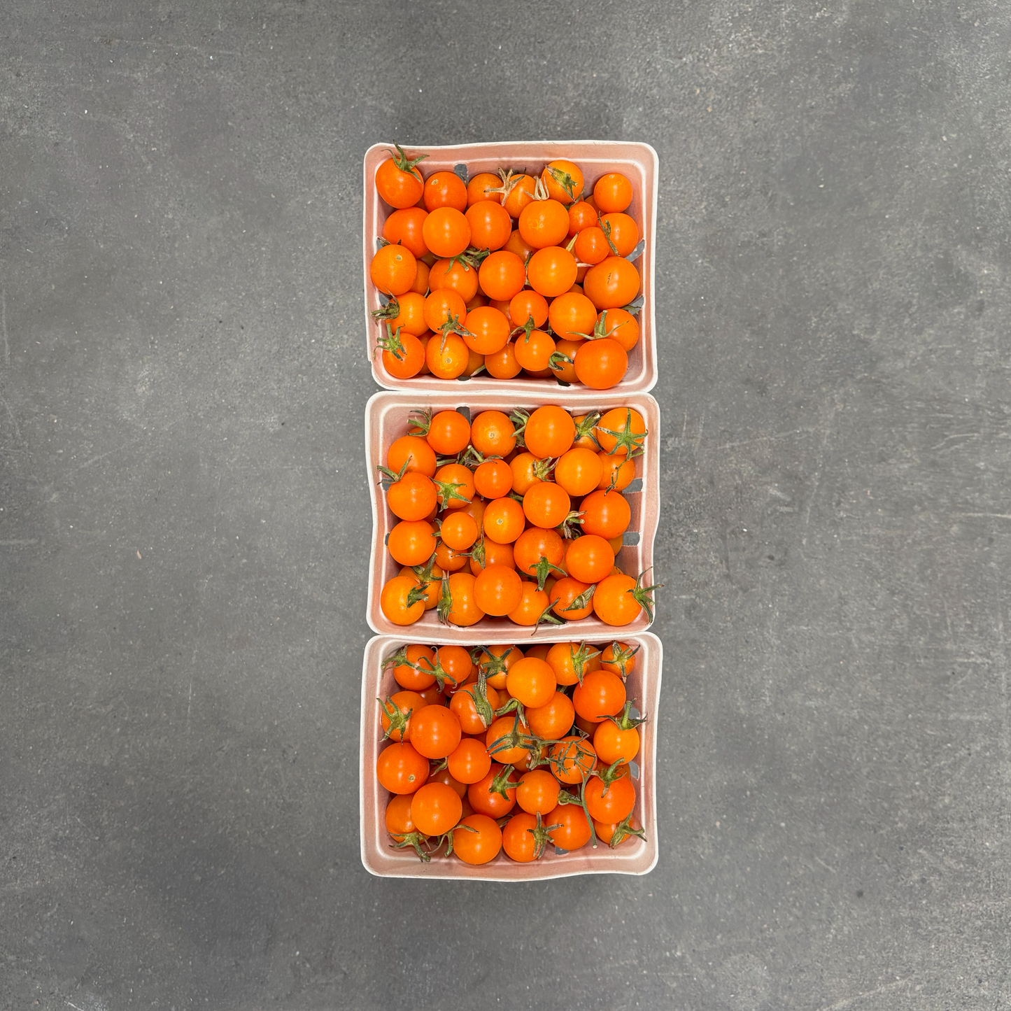 Organic Sungold Cherry Tomatoes
