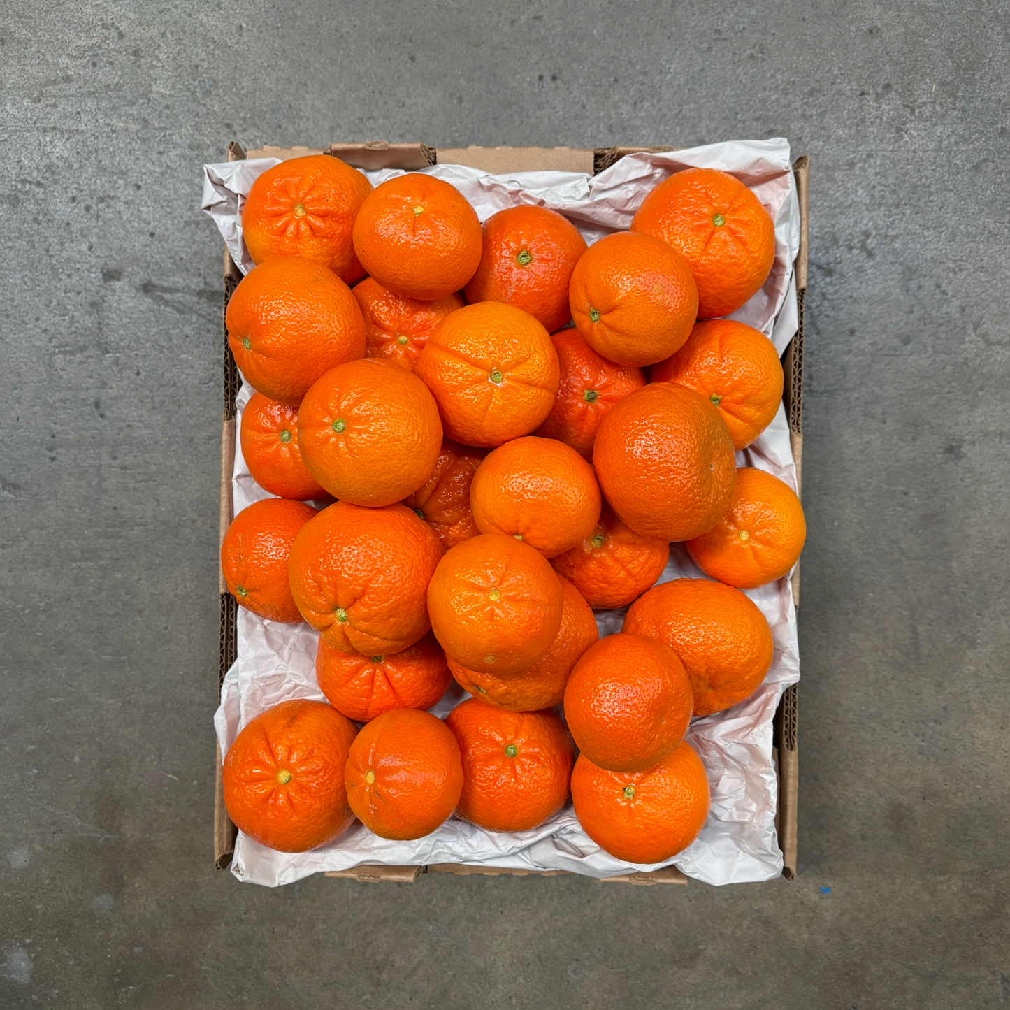 Organic Tango Mandarins