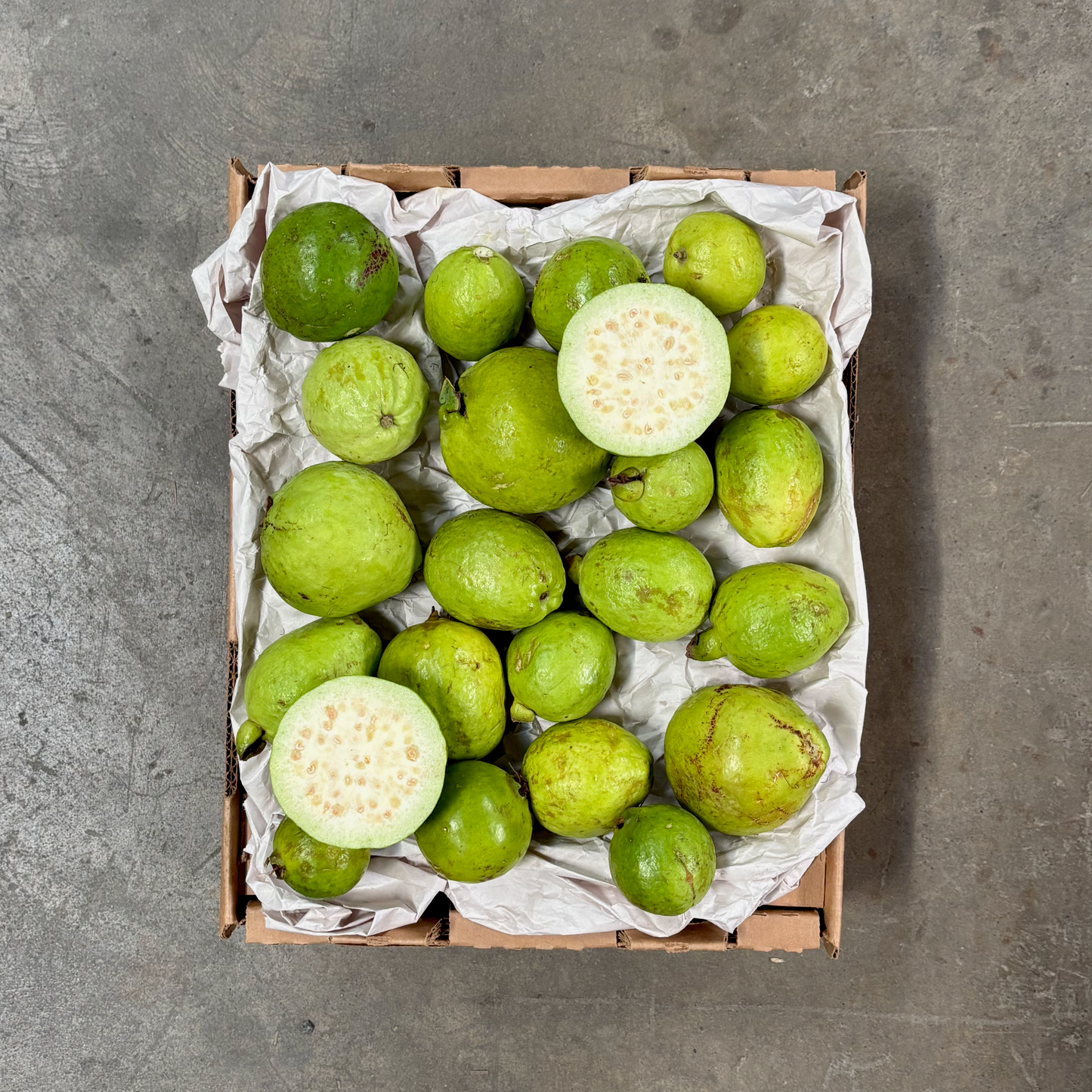 Organic Mexican Beaumont White Guava