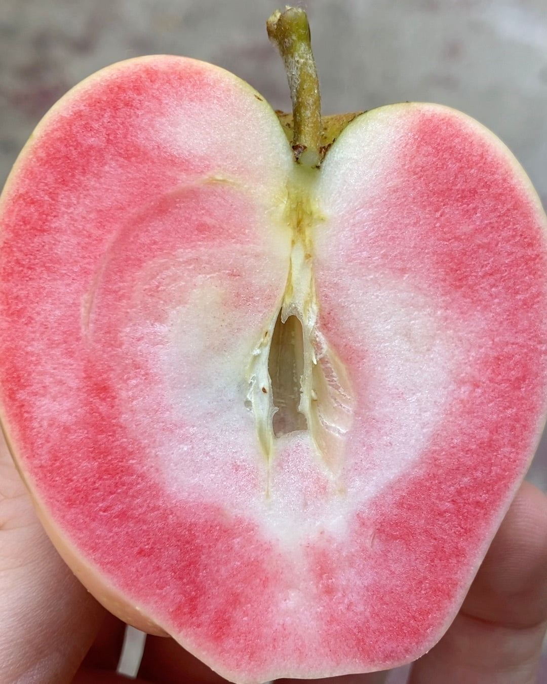 Box of Organic Pink Pearl Apples