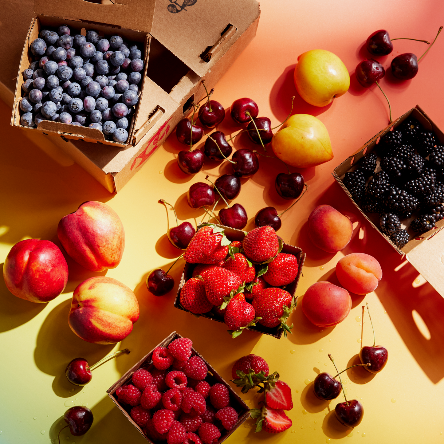 fruitqueen box