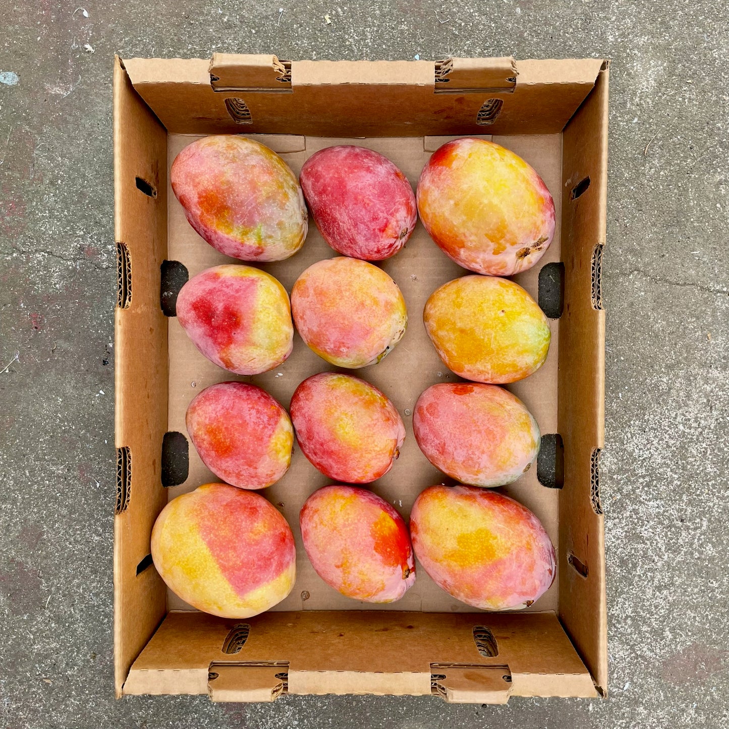Flat of Golden Lady Mangoes