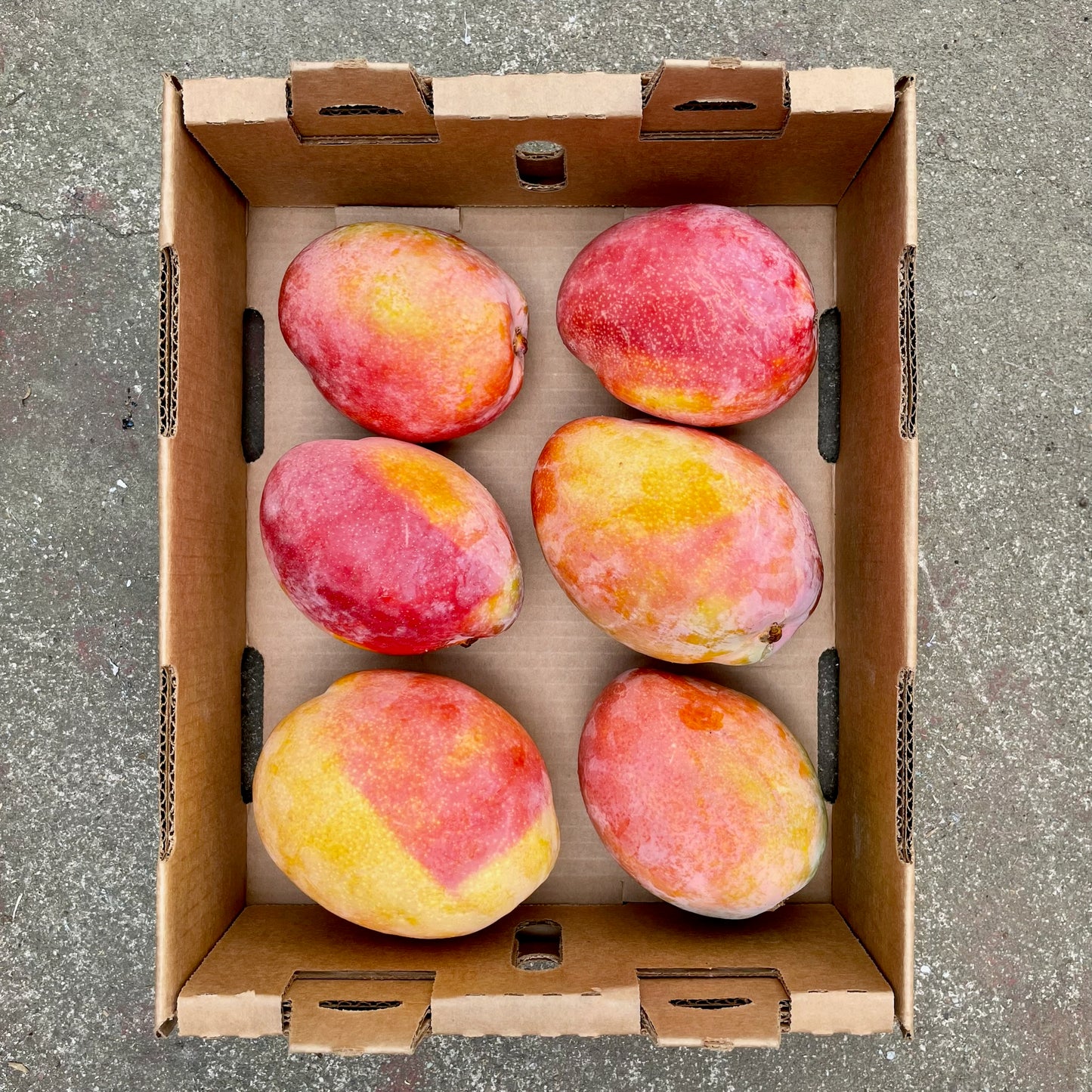 Half Flat of Golden Lady Mangoes
