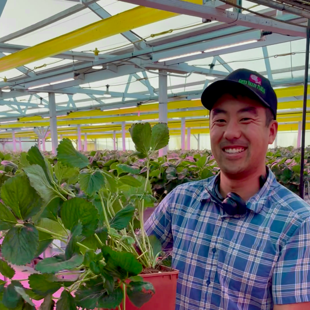 Reinvention & Ichigo Farms