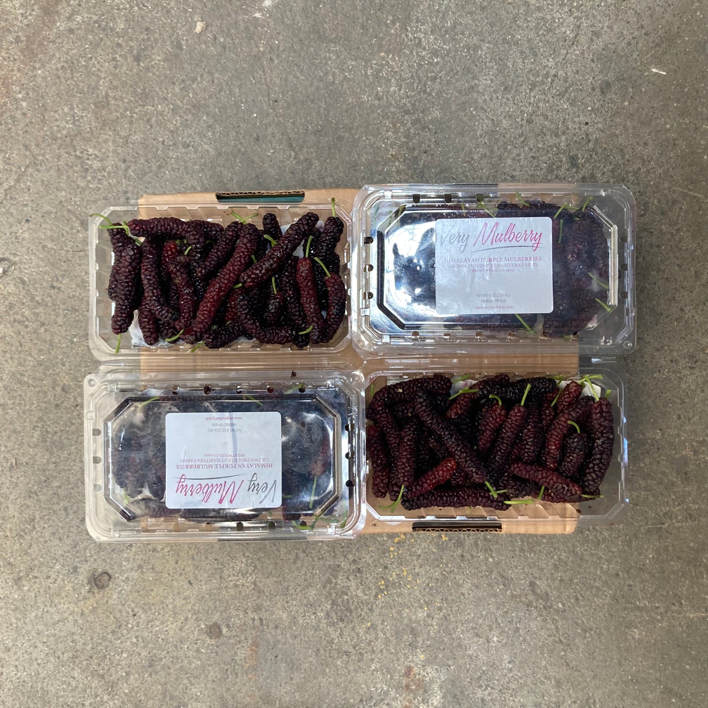 Box of Purple Pakistan Mulberries