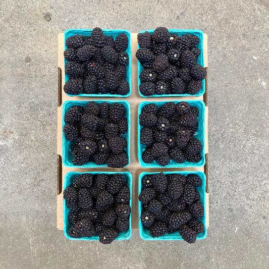 Half Flat of Organic Triple Crown Blackberries