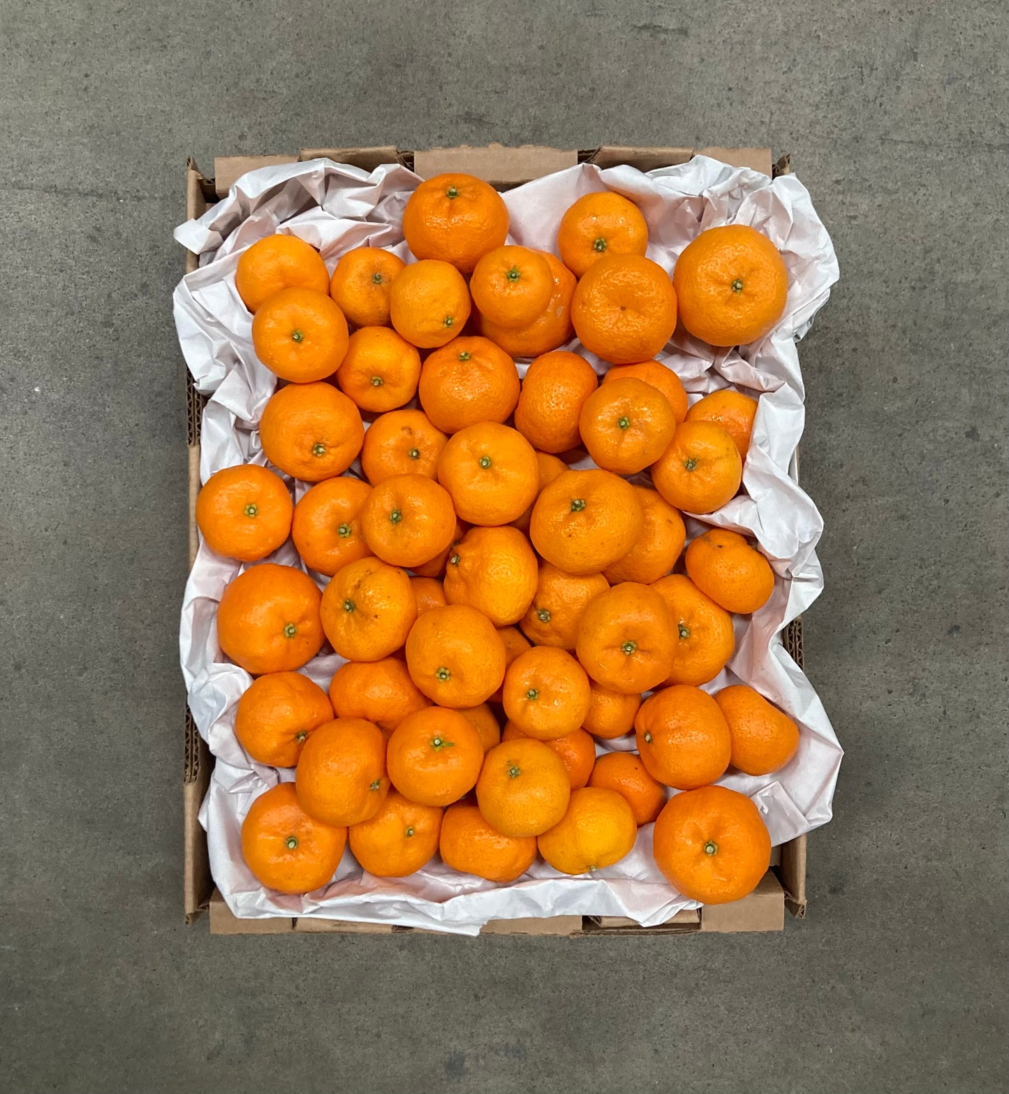 Organic Kishu Mandarin Box