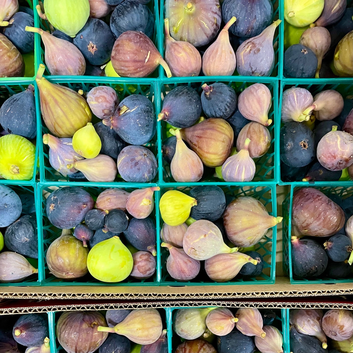 Organic Mixed Figs