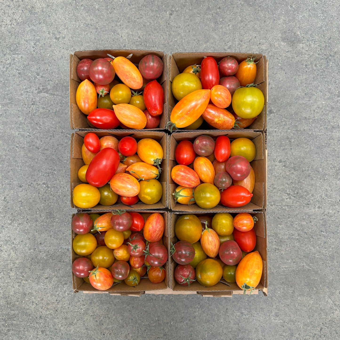 Half Flat of Organic Mixed Medley Tomatoes