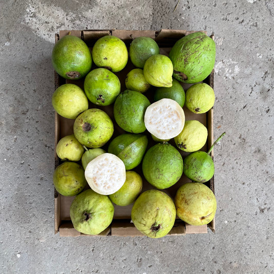 Organic Mexican Beaumont White Guava