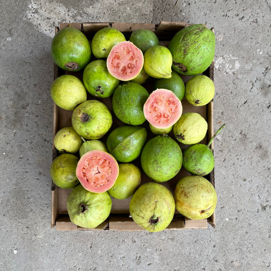 Organic Mexican Beaumont Pink Guava